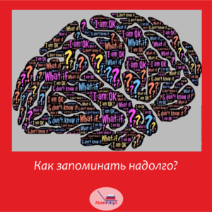 Развитие мозга и памяти